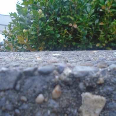 tsa_PhotoclubWk4 (2)
